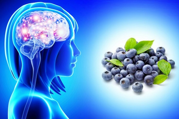 Ten Foods That Are Best for Your Memory and Brain Health