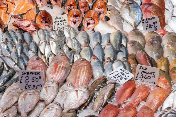Ten Types of Edible Fish That Are High in Mercury