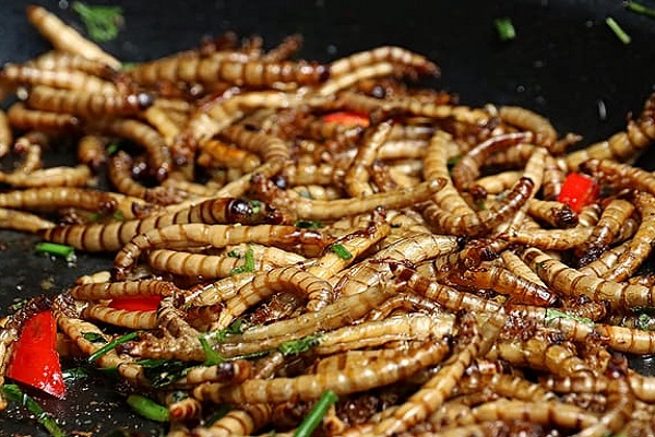 Ten of The Most Delicious Bug Dishes from Around the World