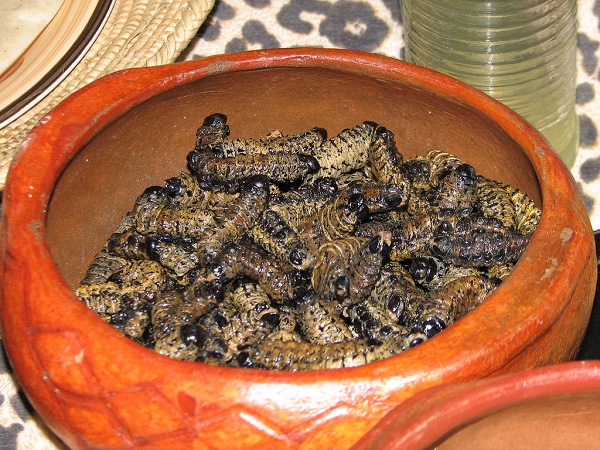Macimbi/Mopane worms