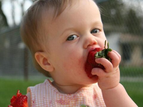 Ten Simple and Healthy Food Types For Weaning Your Baby