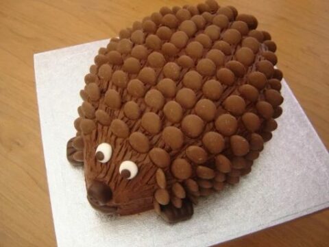 Ten Great Ways to Make a Hedgehog Cake The Whole Family Will Love