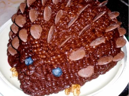 Hedgehog Cake Made With Chocolate Buttons