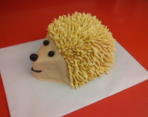 Hedgehog Cake Made With White Chocolate Shards