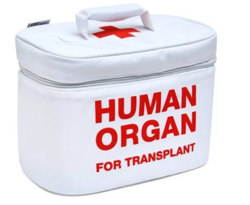 Organ Transport Lunchbox