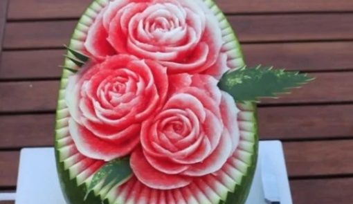 Watermelon Roses