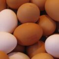 Ten Reasons You Should You Eat Eggs Every Day