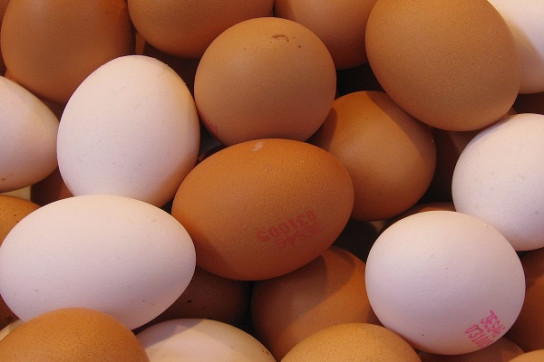 Ten Reasons You Should You Eat Eggs Every Day
