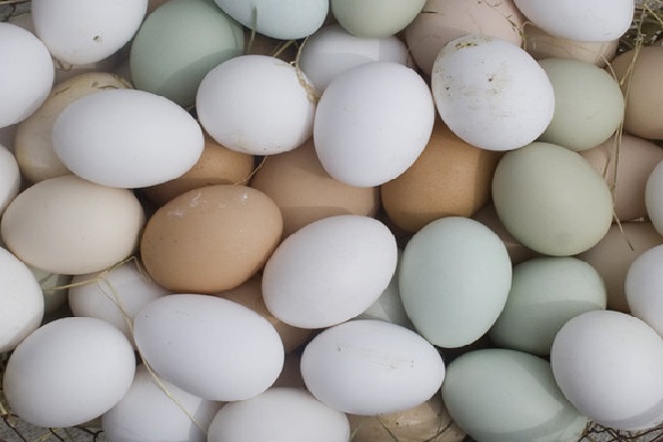 Ten Unknown Benefits of Eggs You Need to Know