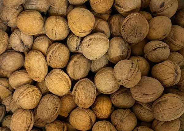 Ten Unknown Benefits of Walnuts Worth Knowing