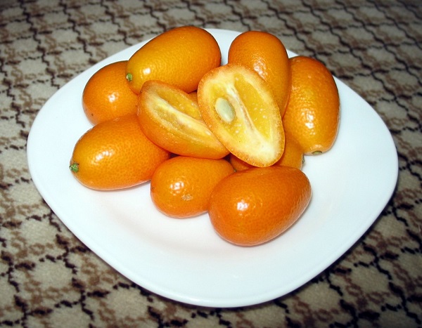 Kumquats (Citrus japonica)
