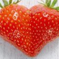 Ten Healthy Reasons to Eat More Strawberries