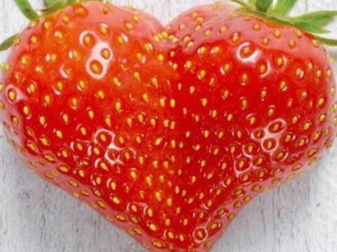 Ten Healthy Reasons to Eat More Strawberries