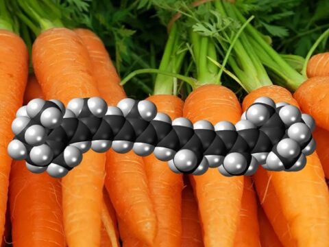 Ten Foods that Are the Richest in Beta Carotene