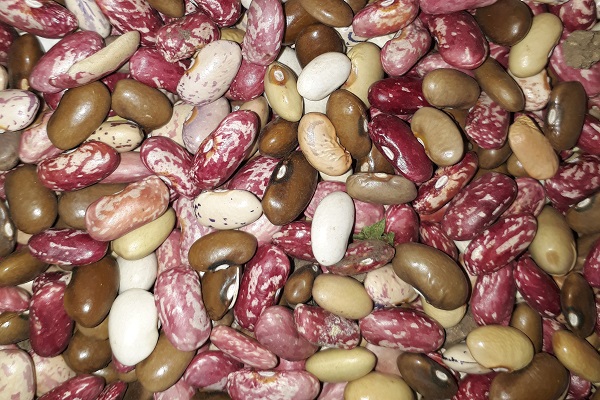 Ten Unknown Benefits of Beans You Should Know About