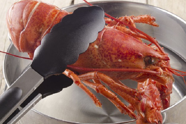 Lobsters And Crabs Do Feel Pain