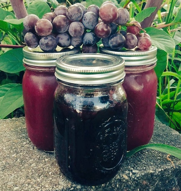 Concord Grape Juice