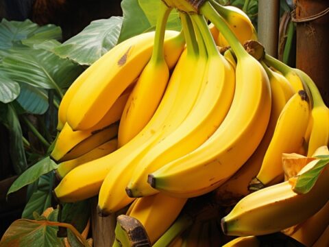 Ten Amazing Benefits of Banana Peel (Aka: the Husk)