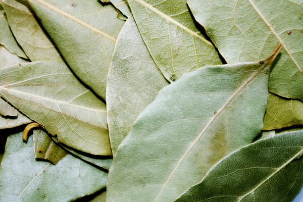 Ten Amazing Health Benefits of Bay Leaves