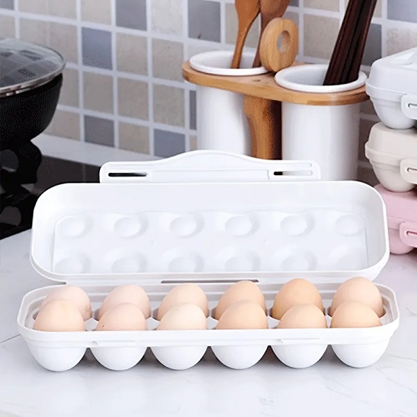 TEMU 12 egg storage box