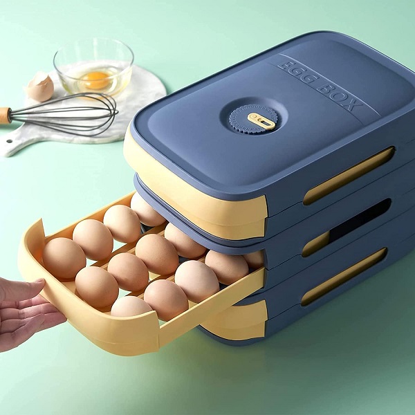 Botanio Egg Storage Box