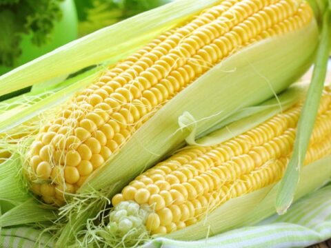 Ten Interesting Facts About Corn on the Cob